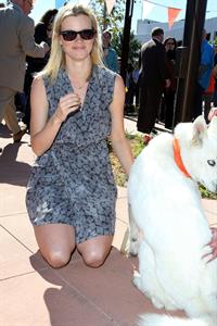 Amy Smart at the Best Friends Animal society Pet Adoption in Los Angeles on February 16, 2012