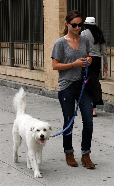 Olivia Wilde walking her dog in New York City - July 22, 2013 