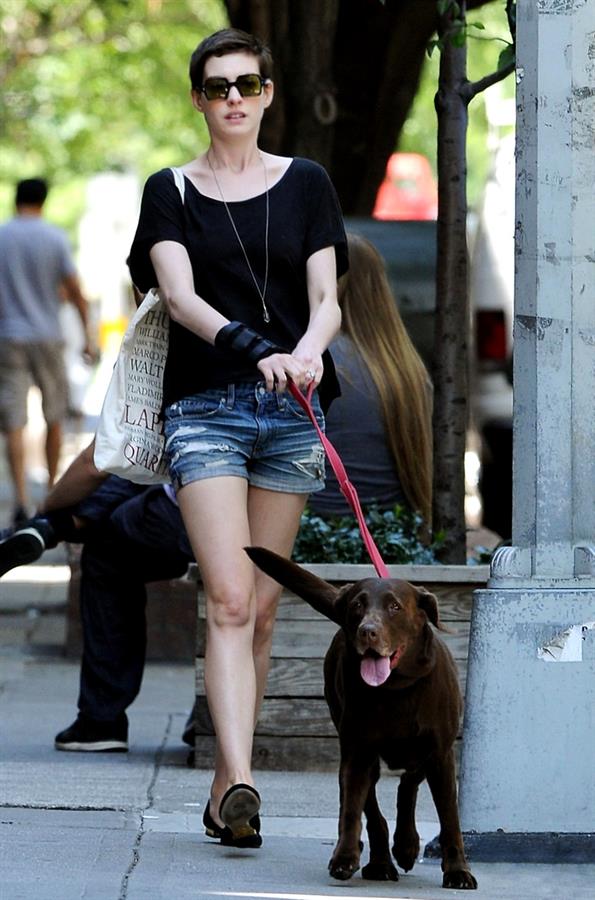 Anne Hathaway out and about walking her dog upper east side New York City on July 2, 2012