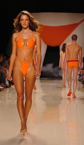 Alessandra Ambrosio in a bikini