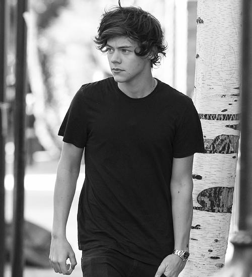 Harry Styles