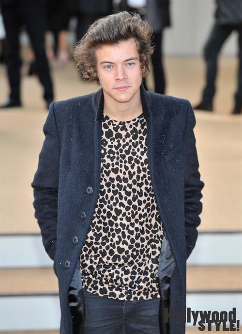 Harry Styles