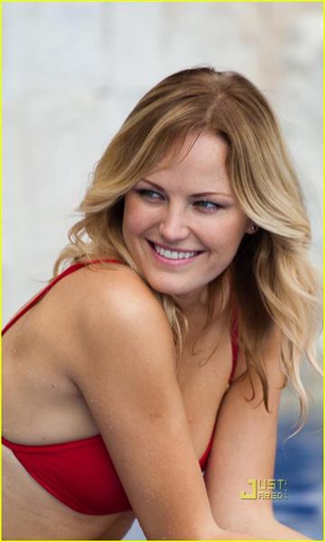 Malin Akerman in a bikini