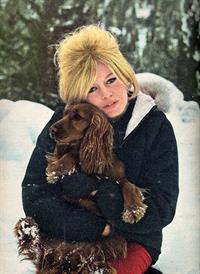 Brigitte Bardot