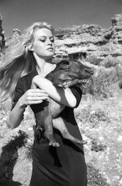 Brigitte Bardot