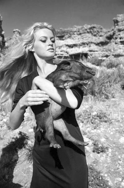 Brigitte Bardot