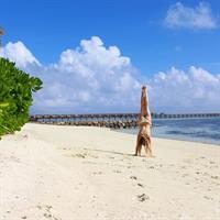 Perrie Edwards in a bikini