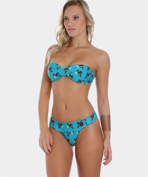 Elisandra Tomacheski in a bikini