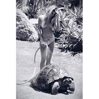 Sahara Ray in a bikini