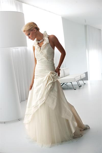 Jessica Van Der Steen