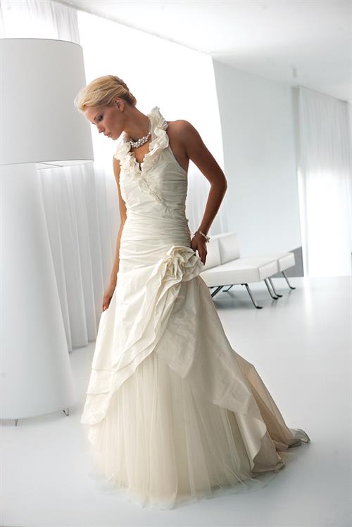 Jessica Van Der Steen