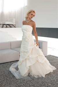 Jessica Van Der Steen