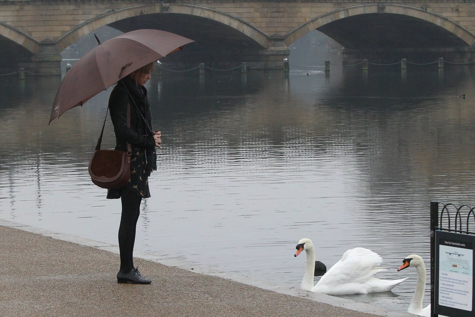 Taylor Swift goes shopping in London on January 24, 2012 