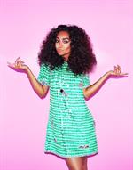 Leigh Anne Pinnock
