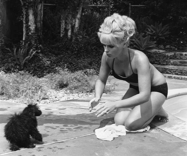 Elke Sommer in a bikini