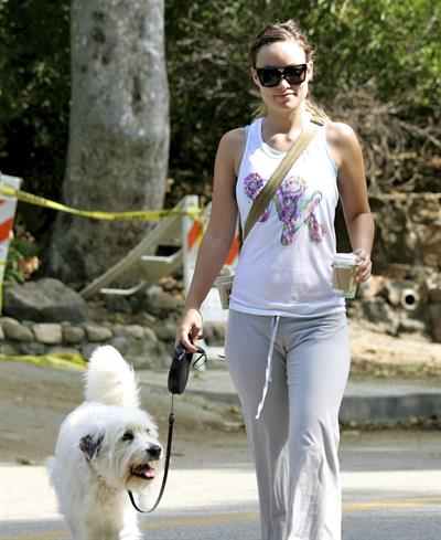 Olivia Wilde walking her dog in the Hollywood Hills on June 24, 2011