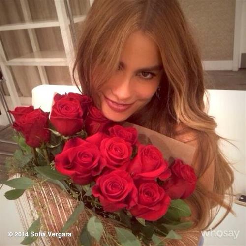 Sofia Vergara