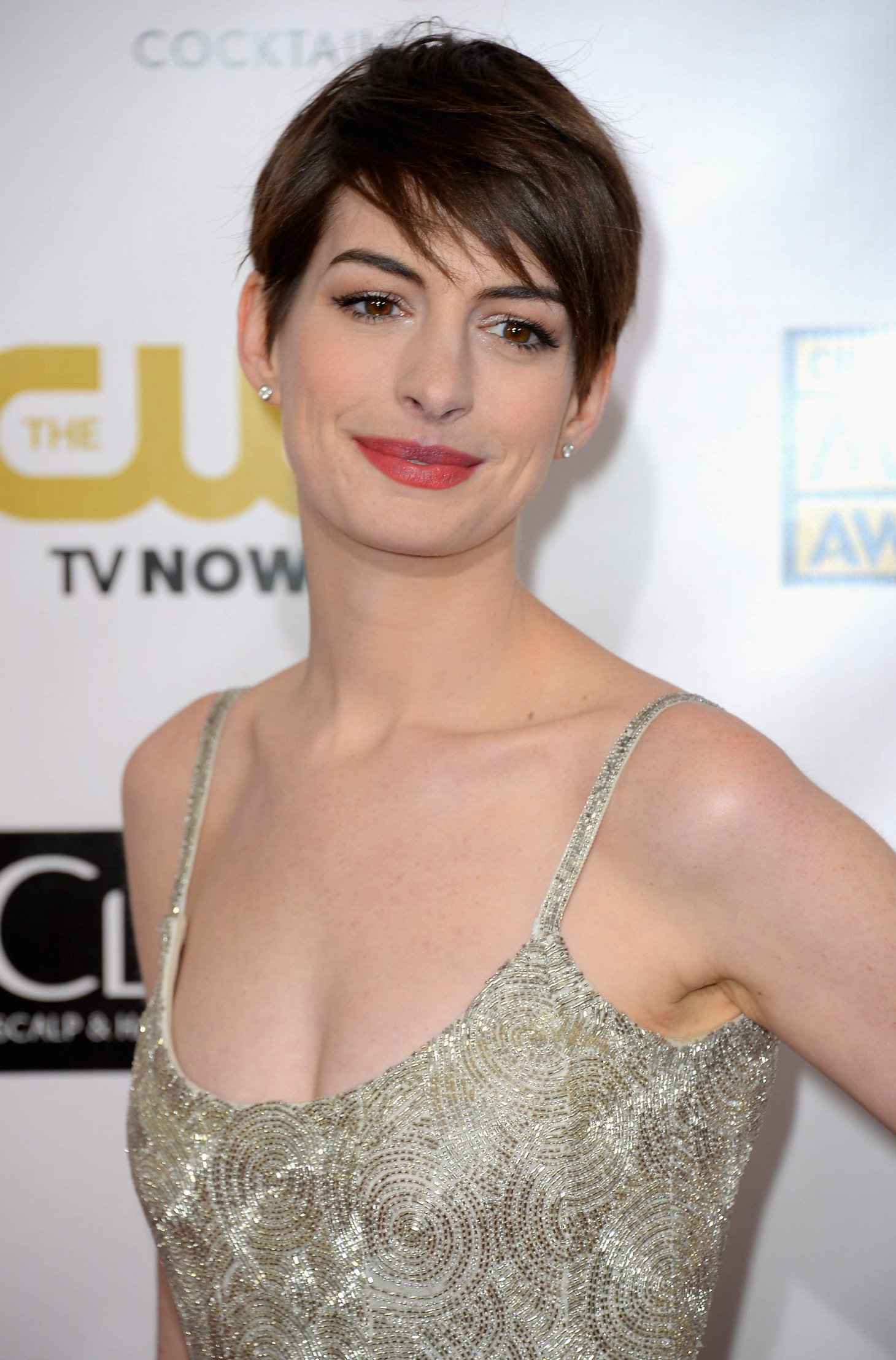 Anne Hathaway attends the Critics' Choice Movie Awards 2013 with Skinnygirl Cocktails at Barkar Hangar