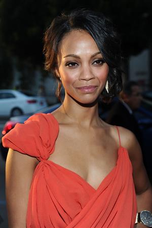 Zoe Saldana @ Death At A Funeral Los Angeles Premiere 12/04/10  