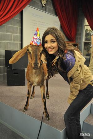 Victoria Justice Victorious Season 3-Episode 8 'April Fools' Blank' stills 