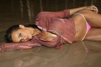 Karen McDougal in lingerie