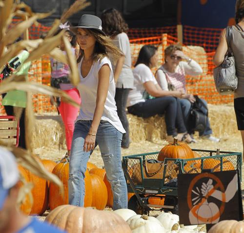 Jessica Alba – at Mr Bones Pumpkin Patch 10/12/13  