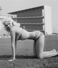 Jayne Mansfield in a bikini
