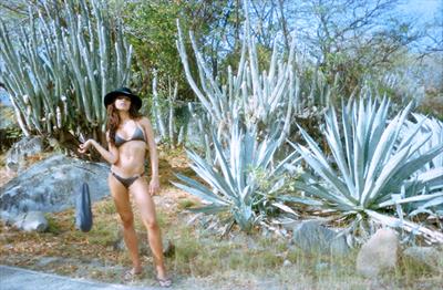 Nicole Meyer in a bikini