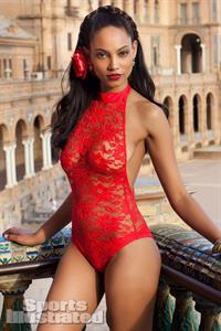 Ariel Meredith in lingerie