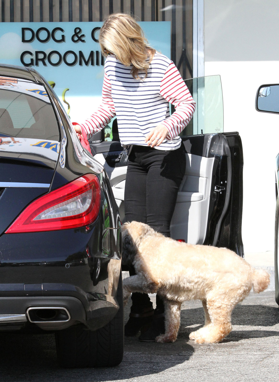 Ali Larter at the dog groomers in Los Angeles 10/22/13  
