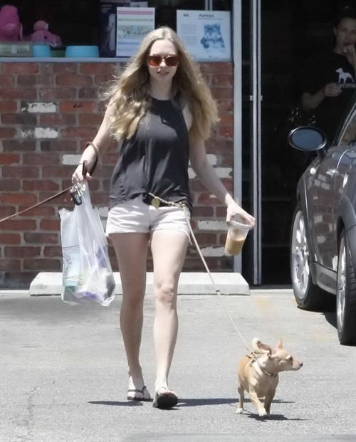 Amanda Seyfried at The Oaks Gourmet Market in Los Angeles on July 17, 2012