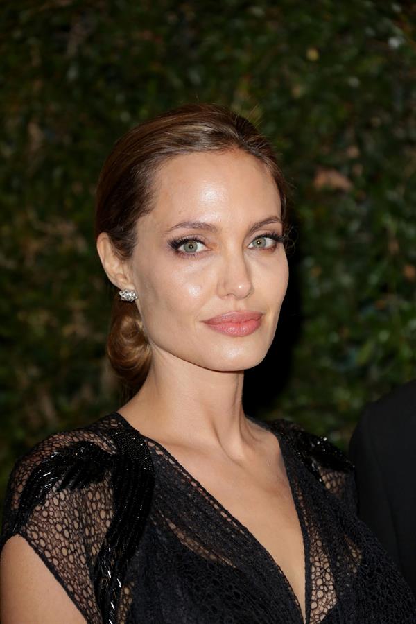 Angelina Jolie - 2013 AMPAS Governors Awards  