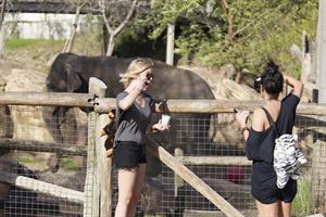 Ashley Benson and Vanessa Hudgens at Busch Gardens in Tampa Bay on March 3, 2012
