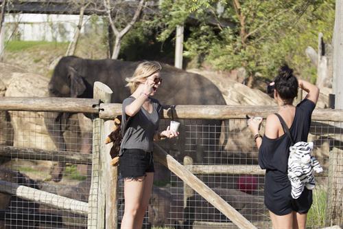 Ashley Benson and Vanessa Hudgens at Busch Gardens in Tampa Bay on March 3, 2012