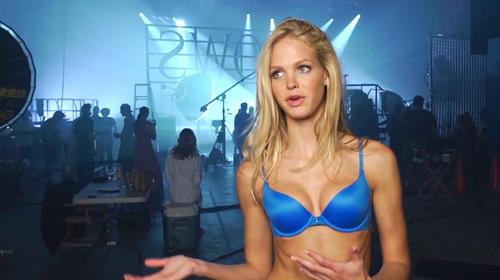 Erin Heatherton in lingerie