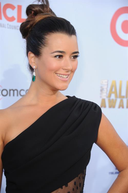 Cote de Pablo - NCLR ALMA Awards in Pasadena - September 16, 2012