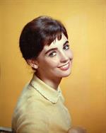 Millie Perkins