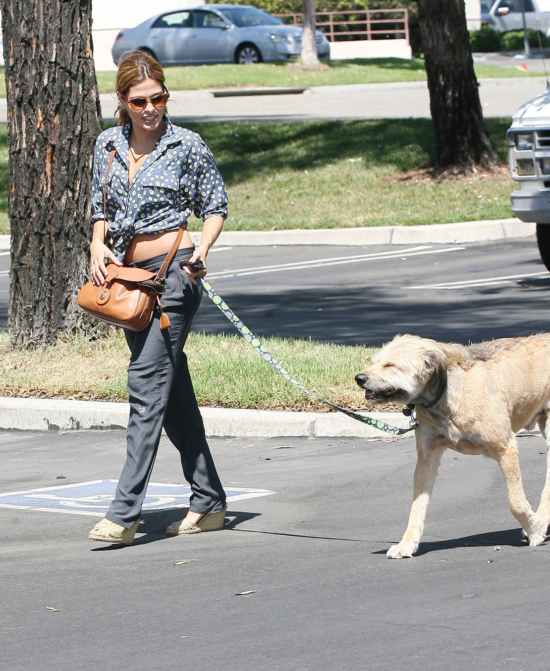 Eva Mendes - Walking her dog in Los Angeles - August 31, 2012
