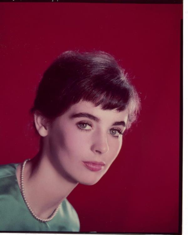 Millie Perkins