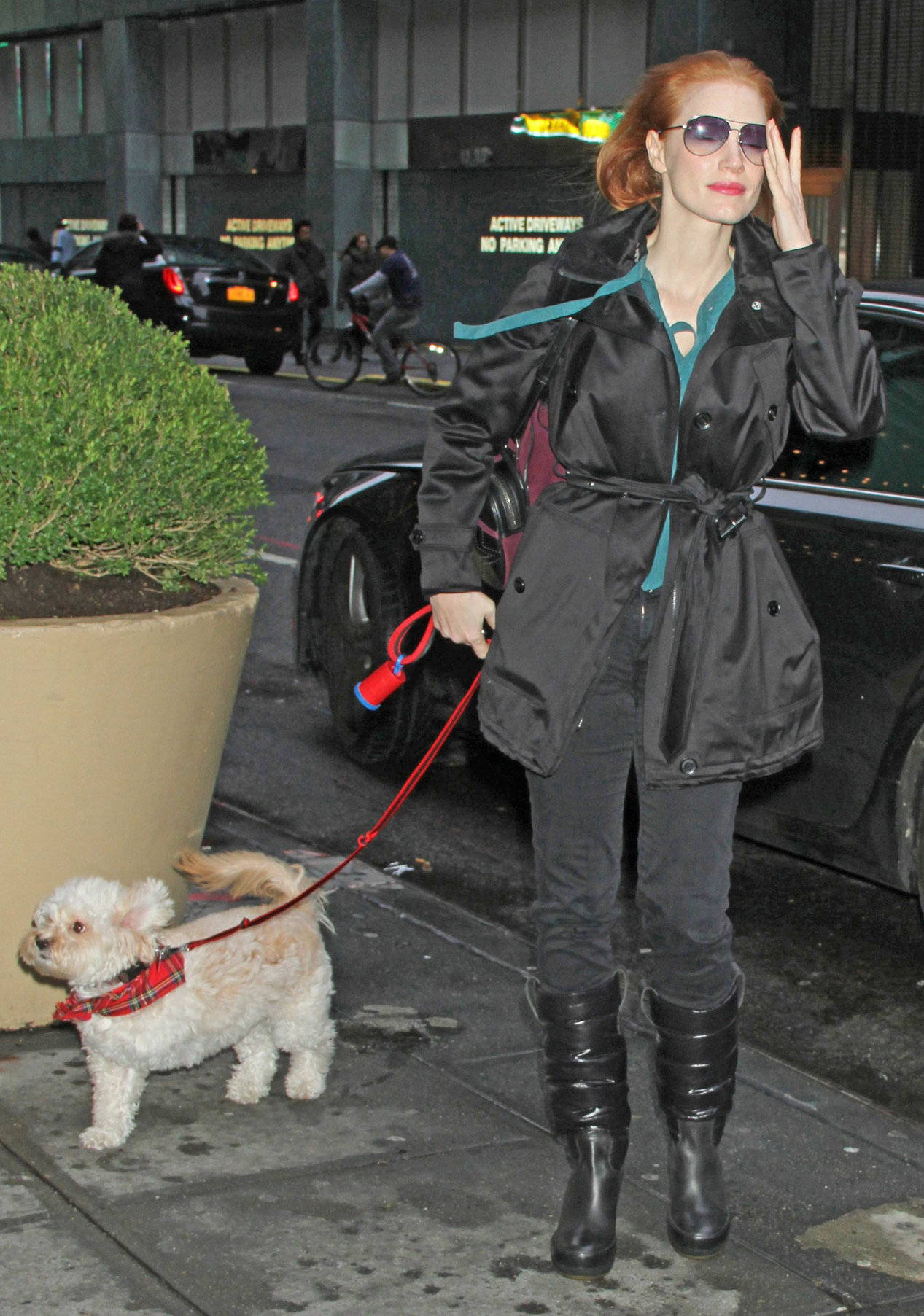 Jessica Chastain Pictures Jessica Chastain with her dog Chaplin arriving to the Walter Kerr Theatre in New York City December 27, 2012
