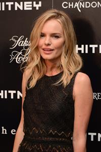 Kate Bosworth - 2012 Whitney Art Party in New York City (June 6, 2012)