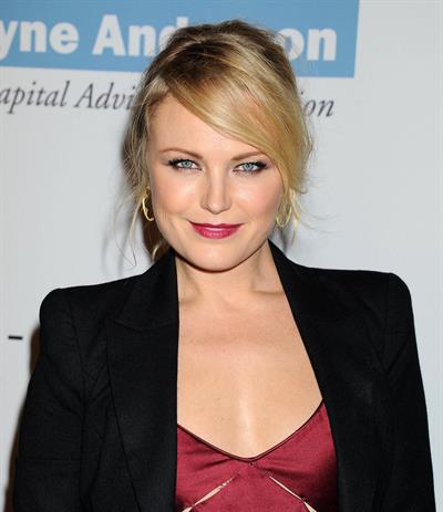 Malin Akerman – 2nd Annual Baby2Baby Gala 11/9/13  