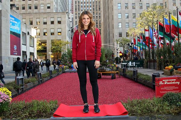 Maria Menounos Red Hot Secrets For Staying Healthy During The Holiday Season Event in NYC 15.11.13 