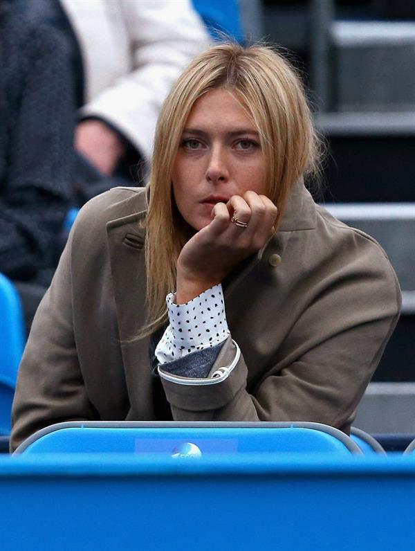 Maria Sharapova Watches her boyfriend on day one of the AEGON Championships at Queens Club in London - June 10, 2013 