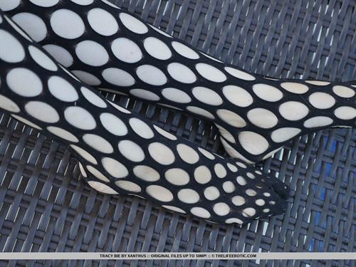 Tracy Bie in  Paradise 1  for The Life Erotic - Fishnet lingerie gives Tracy Bie perfect access to her heated pussy