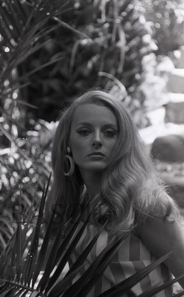 Celeste Yarnall