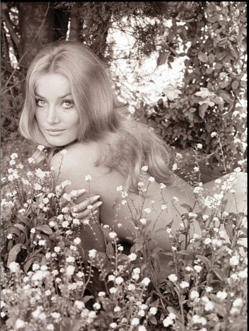 Barbara Bouchet