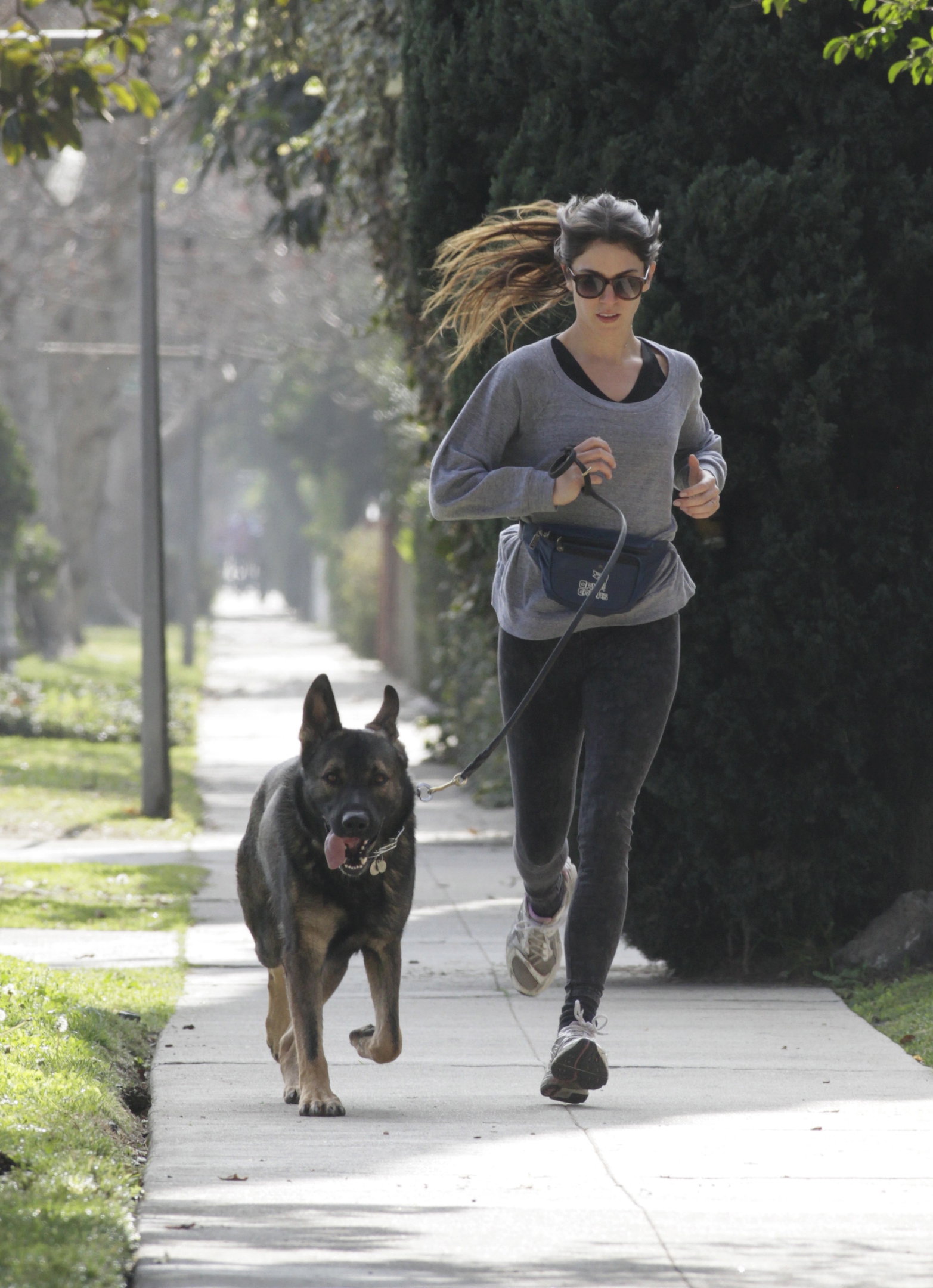 Nikki Reed jogging with her dog Enzo in Los Angeles on February 6, 2013