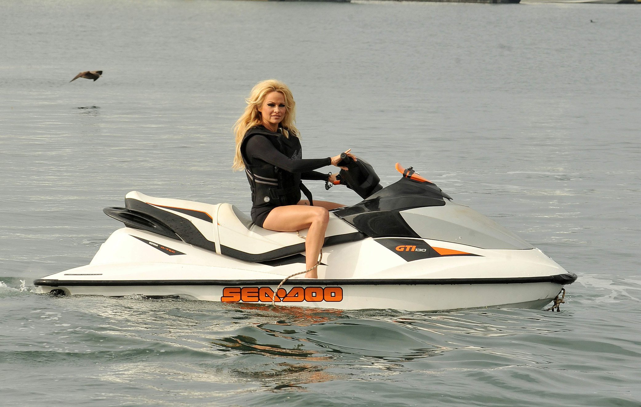 Pamela Anderson Launches Sea Shepherds Operation Zero Tolerance Whale Defense Campaign on November 2, 2012 