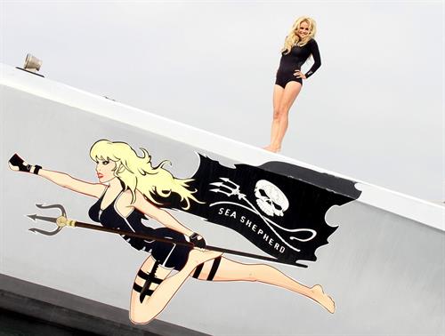 Pamela Anderson Launches Sea Shepherds Operation Zero Tolerance Whale Defense Campaign on November 2, 2012 